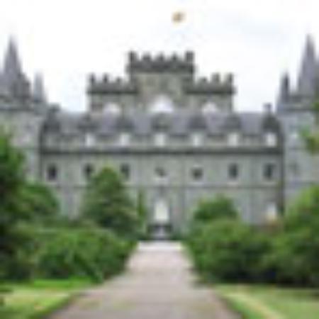 Cantina Cinco De Mayo